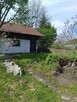 Działka ROD Olszynka