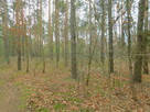 Syndyk sprzeda - Radom, ul. Andersena - 5