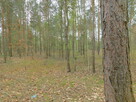 Syndyk sprzeda - Radom, ul. Andersena - 4