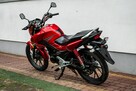 Honda CB 125 F 2018 POLIFT Raty Wysyłka TRANSPORT Największy Wybór Moto - 6