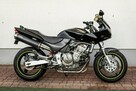 Honda Hornet CB 600 S 2001 Raty NAJWIĘKSZY WYBÓR MOTO w PL Mega Zadbana Duży Wybór - 3