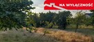 Ładna, uzbrojona działka pod lasem-33a-Wilczopole - 4