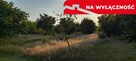 Ładna, uzbrojona działka pod lasem-33a-Wilczopole - 5