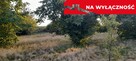 Ładna, uzbrojona działka pod lasem-33a-Wilczopole - 7