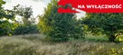 Ładna, uzbrojona działka pod lasem-33a-Wilczopole - 8