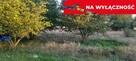 Ładna, uzbrojona działka pod lasem-33a-Wilczopole - 10