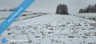 Sprzedam działkę rolną 5800 m² – Garlica Murowana, gm. Zielonki - 2