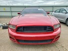 Ford Mustang 5.0 V8 / bogate wyposażenie / - 5