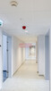 Lokal biurowy do wynajęcia - 270 m2 przy ulicy Lea - 5