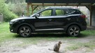 MG ZS Salon PL, serwis ASO, bezwypadkowy, - 5