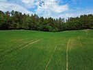 Działka rolna Rudno gm. Ostróda - 8
