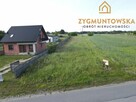 Działka rolna Opoczno Kolonia Libiszów - 3