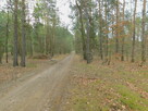 Syndyk sprzeda - Radom, ul. Andersena - 1