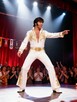 POLSKI ELVIS PRESLEY SHOW , Wieczór Panieński - 17