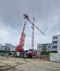 Wynajem Dźwigów 10t - 50t Usługi Dźwigowe Szybkie Terminy - 2