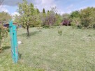 Działka Mazury Ełk - Regielnica 570 m2 - 11