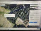 Las sosnowy 2,48ha przy asfalcie Seroczki prywatne - 7