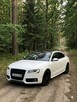 Audi S5 - 10
