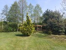 Sprzedam dom 154m2 z garażem i kotłownią na działce 30 arów - 10