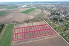 Działka budowlana Budzyń - 2