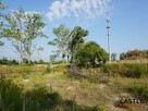 Działka przemysłowa Pruszcz Gdański, Obrońców Westerplatte - 6