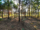 Działka budowlana 904 m² – spokojna okolica, dojaz - 6