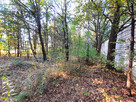 Działka budowlana 904 m² – spokojna okolica, dojaz - 8
