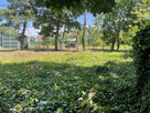 Działka budowlana 1635 m² z asfaltem i ogrodzeniem - 4