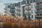 Funkcjonalne 3 pokoje | 48 m² | Pastelowa, Gdańsk - 2