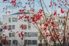 Funkcjonalne 3 pokoje | 48 m² | Pastelowa, Gdańsk - 4