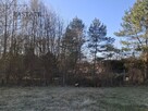 Dom i działki budowlane przy lesie - 8