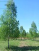 Zielona okolica-działka budowlana - 5