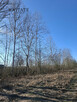 Działka budowlana - las, cisza, natura - 10