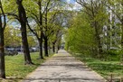 Mieszkanie Warszawa Praga-Północ, Jagiellońska - 13