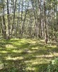 Działka budowlana Kania Nowa gm. Serock - 3