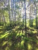 Działka budowlana Kania Nowa gm. Serock - 4