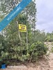 Duża działka w cichej okolicy, dostęp do drogi, wydane WZ na dom jednorodzinny