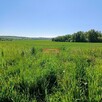 Widokowa, budowlana 1200 m2- Minoga ( gm. Skała) - 3