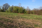 Działka komercyjno-bud. z lasem - 2,44 ha Libertów - 2