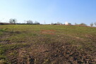 Działka komercyjno-bud. z lasem - 2,44 ha Libertów - 5