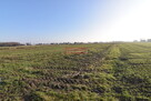 1,018 ha pod inwestycję jednorodzinną- Kraków