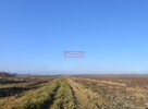 1,55 ha pod inwestycję jednorodzinną- Kraków-Nowa