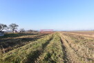 1,55 ha pod inwestycję jednorodzinną- Kraków-Nowa - 4