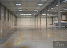 Lokal użytkowy Kraków Podgórze, Rybitwy, Rybitwy