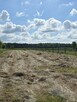 Działka budowlana Dobrzejów gm. Miłkowice, - 1