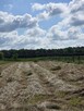 Działka budowlana Dobrzejów gm. Miłkowice, - 3