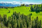 Działka inwestycyjna z widokiem na Tatry