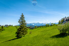 Działka inwestycyjna z widokiem na Tatry - 16