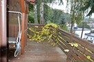 Sprzedam działkę z domkiem turystyczną - 8