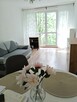 Ładne 2 pokojowe z balkonem umeblowane na Dąbrowie polecam